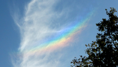 Natuur als inspiratie